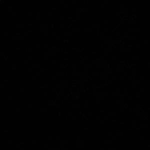 Meet your Posher, Gabby